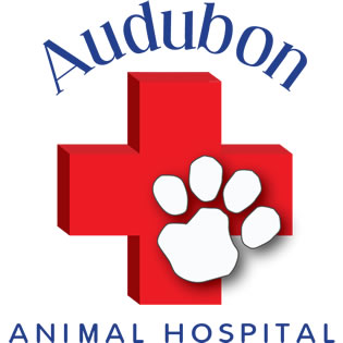 Audubon Animal Hospital Logo